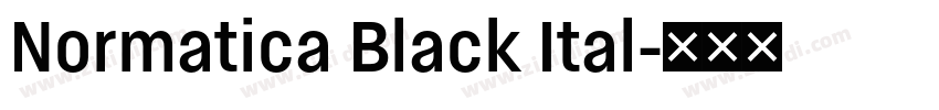 Normatica Black Ital字体转换